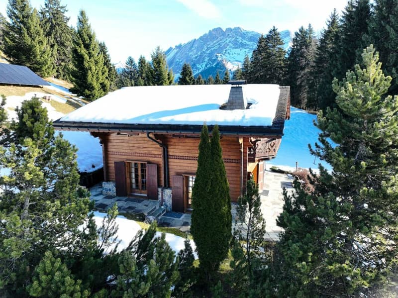 5 room chalets in Mazots of Gryon (15)