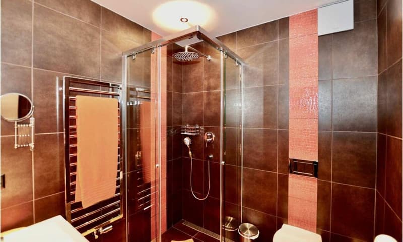 Property 9 rooms in Gryon (13)