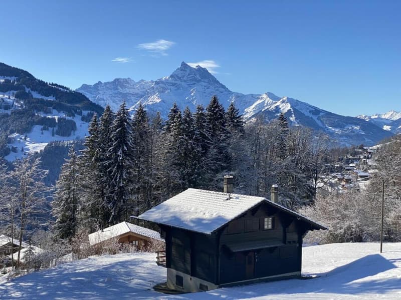 Chalet 7 rooms in Gryon (18)