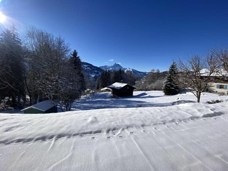 Chalet 7 rooms in Gryon (15)