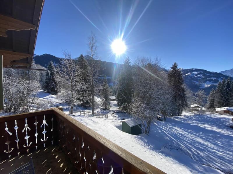 Chalet 7 rooms in Gryon (6)