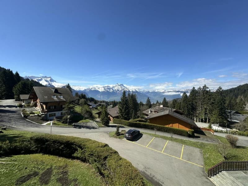 Appartamento 4 locali a Villars-sur-Ollon (21)