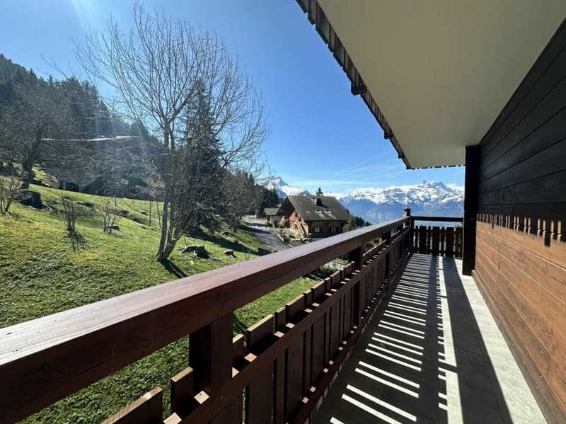 Appartamento 4 locali a Villars-sur-Ollon (17)