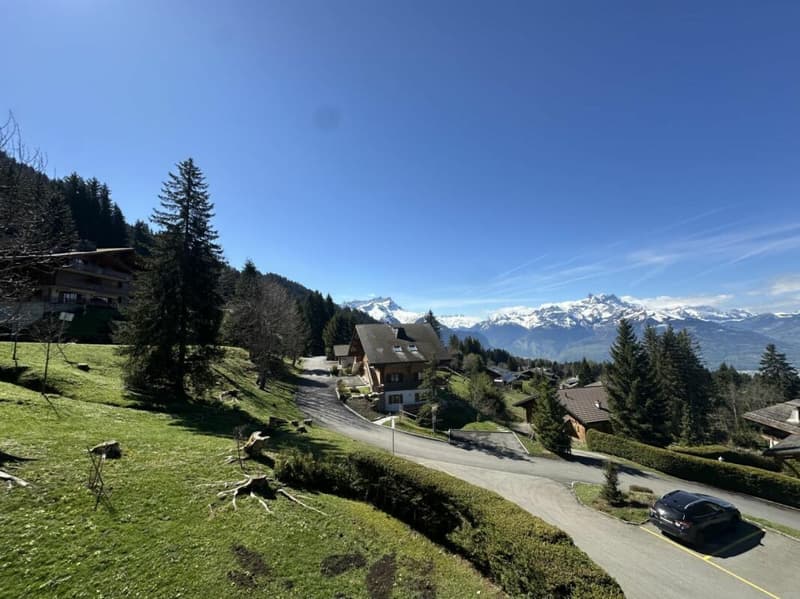 Appartamento 4 locali a Villars-sur-Ollon (3)