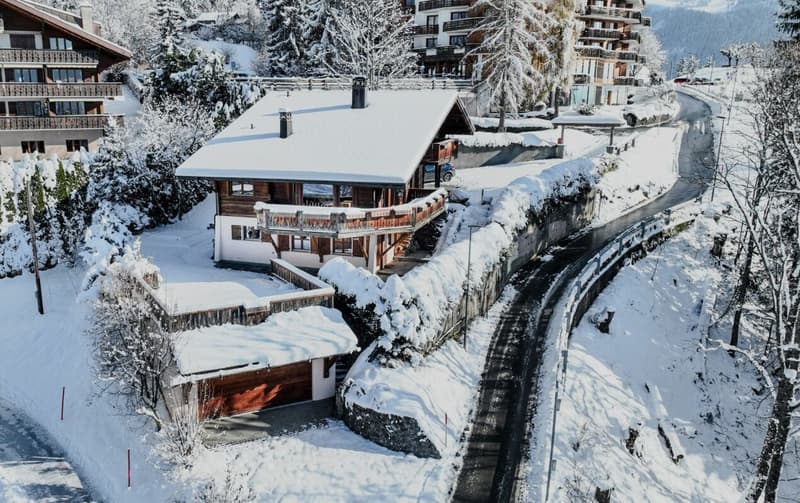 Chalet in Villars center (22)