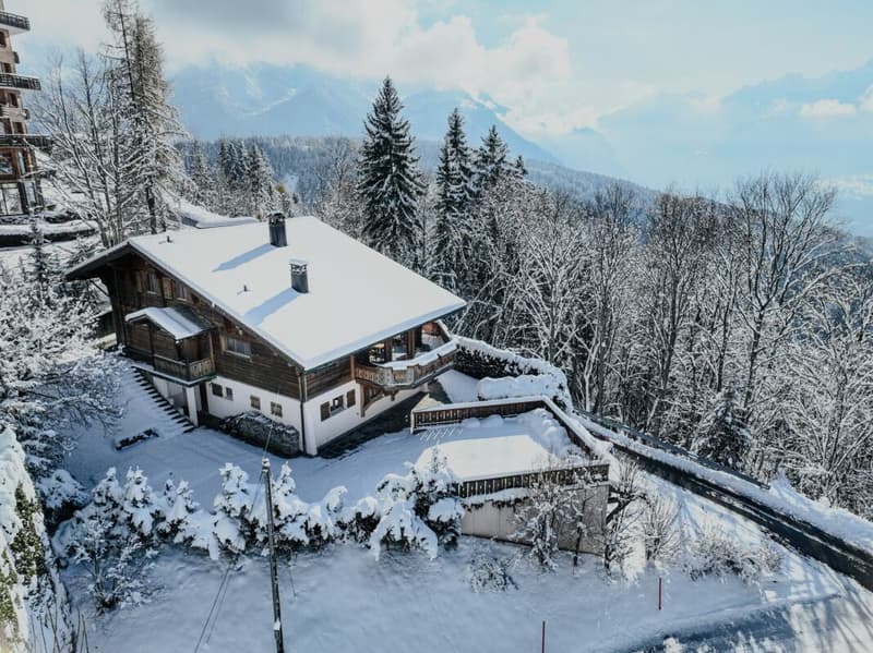 Chalet in Villars center (23)