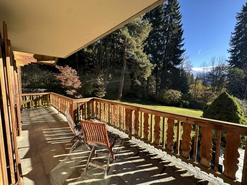 9-room chalet, close to the centre (23)