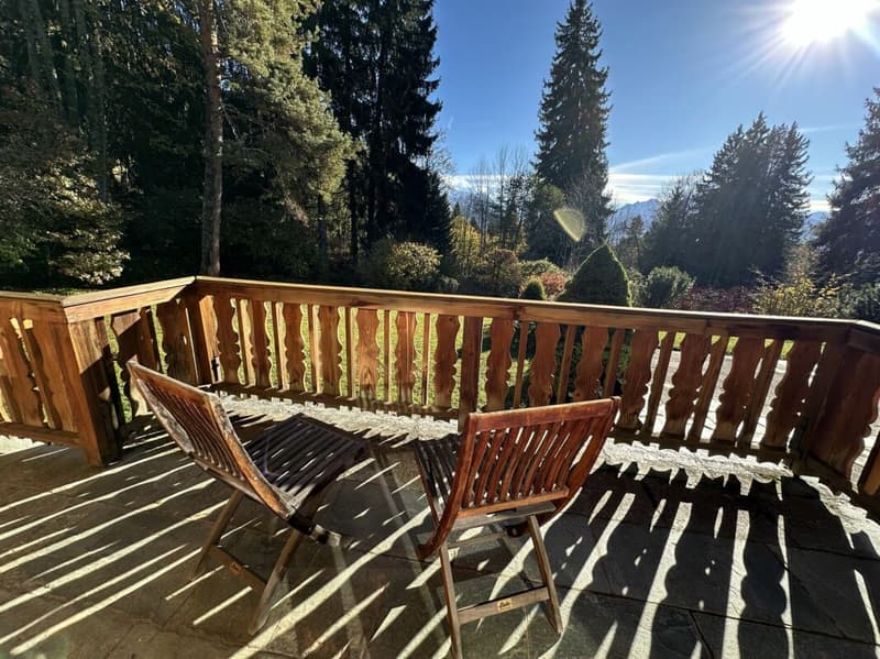9-room chalet, close to the centre (19)