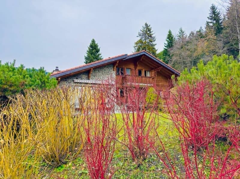 9-room chalet, close to the centre (34)