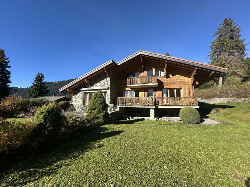 9-room chalet, close to the centre (24)