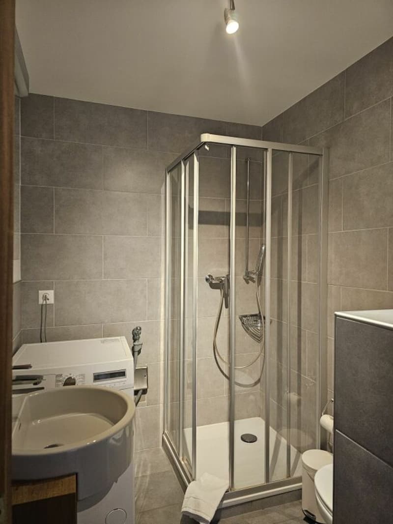 Appartamento di 3 locali ad Arveyes (3)