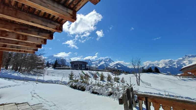 5 bedroom chalet - Villars center (1)