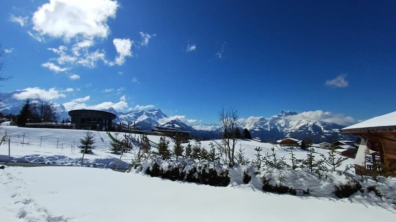 5 bedroom chalet - Villars center (6)
