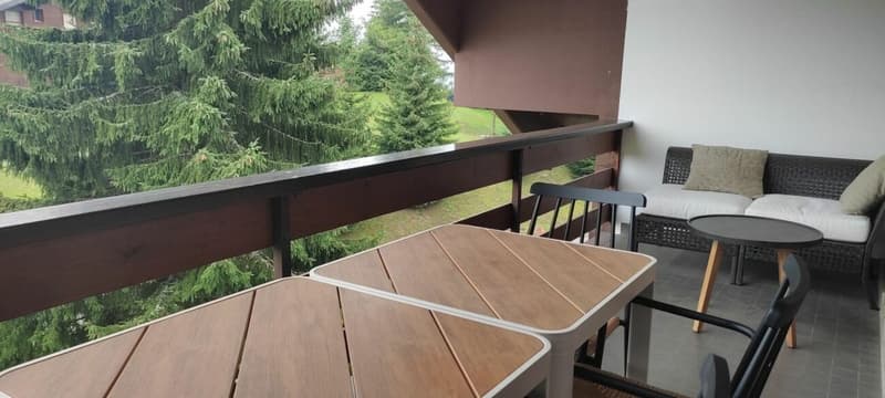 Appartamento 3 locali a Villars-sur-Ollon - In affitto per la stagione estiva (9)