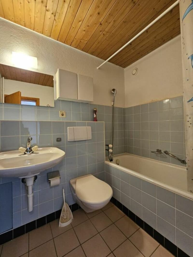 Apartment 2 rooms in Villars-sur-Ollon (6)
