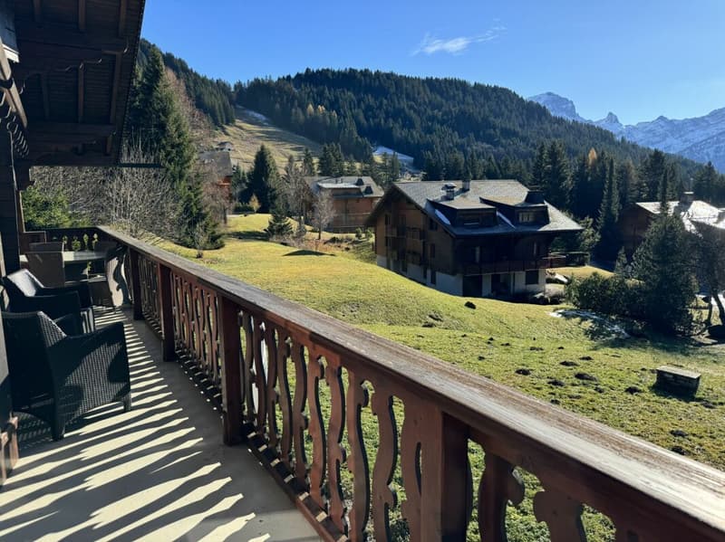 Chalet 8 rooms in Chesières (17)