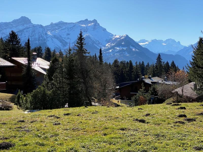 Chalet 8 rooms in Chesières (18)