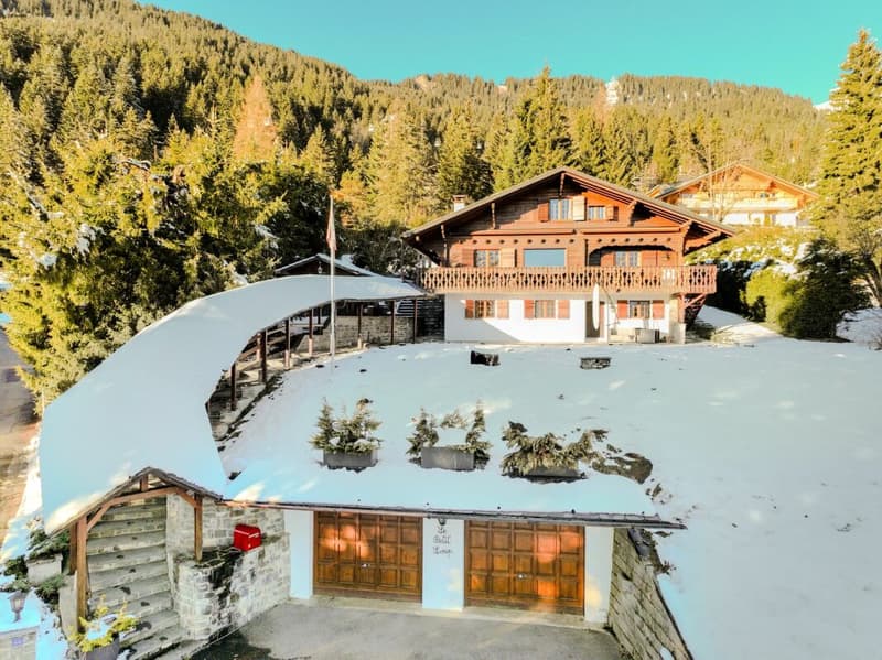 Chalet 8 rooms in Chesières (19)