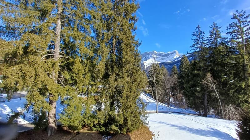 Jardin du Closel 5 (14)