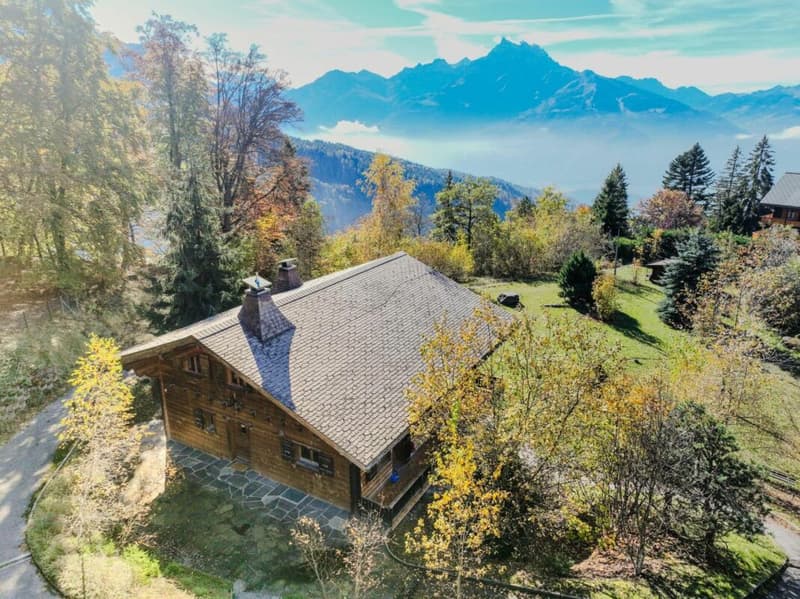Chalet 8 Zimmer in Villars-sur-Ollon (10)