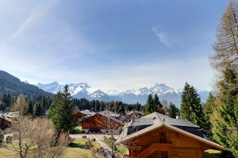 Grimpereau 5 (7)
