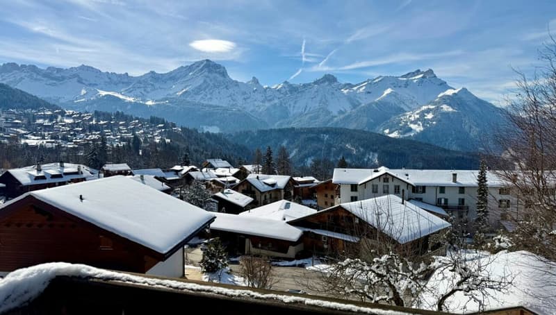 Chalet 11.5 rooms in Chesières (3)