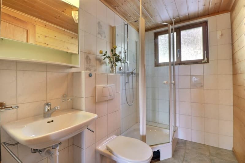 Chalet 11.5 rooms in Chesières (20)