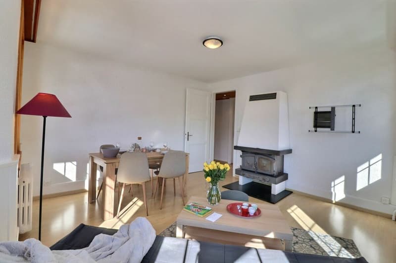 Chalet 11.5 rooms in Chesières (5)