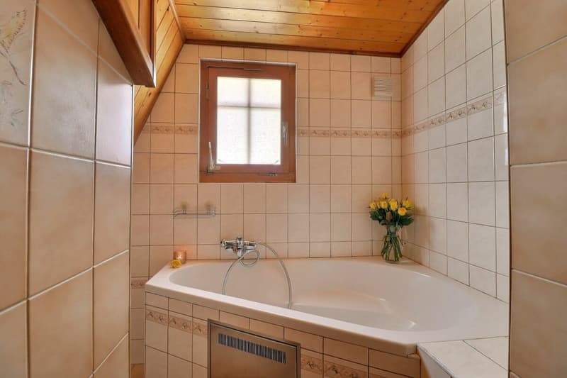 Chalet 11.5 rooms in Chesières (21)