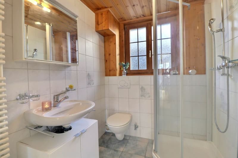 Chalet 11.5 rooms in Chesières (10)