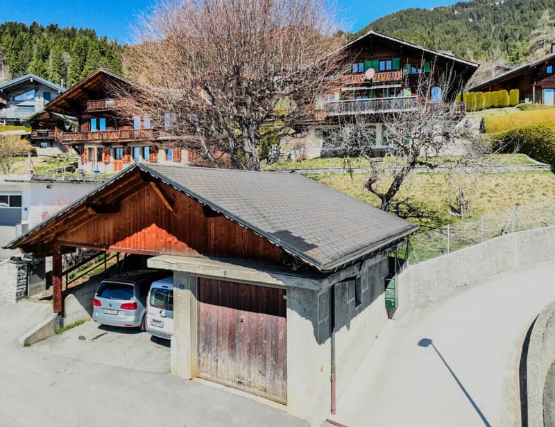 Chalet 11.5 rooms in Chesières (29)