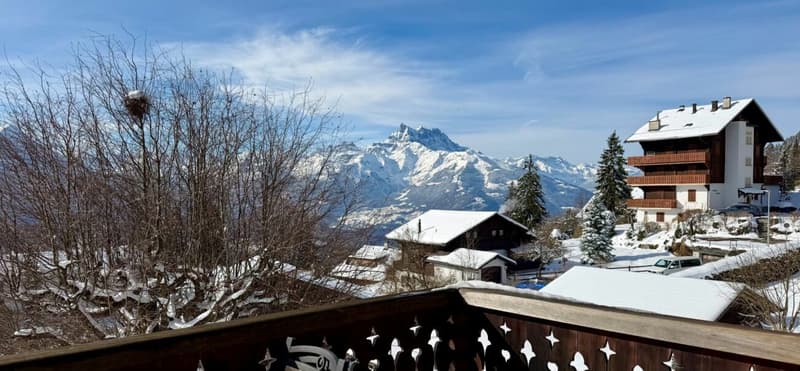 Chalet 11.5 rooms in Chesières (2)