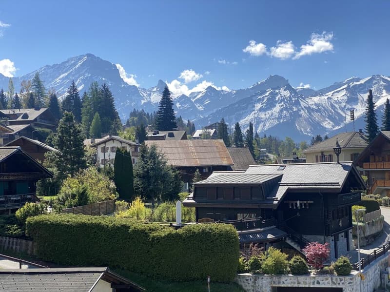 3 bedroom apartment - Villars center (5)
