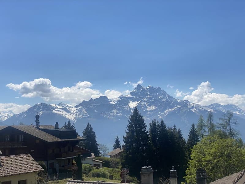 3 bedroom apartment - Villars center (6)