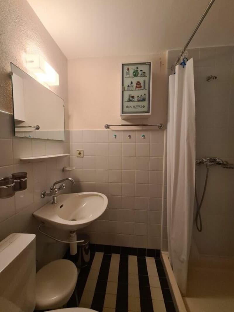 Wohnung 4.5 Zimmer in Villars-sur-Ollon  - zur Miete für die Sommersaison (9)