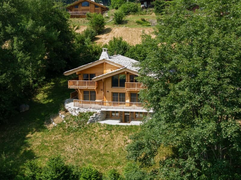 Chalet mit 8 Zimmern und atemberaubendem Blick (36)