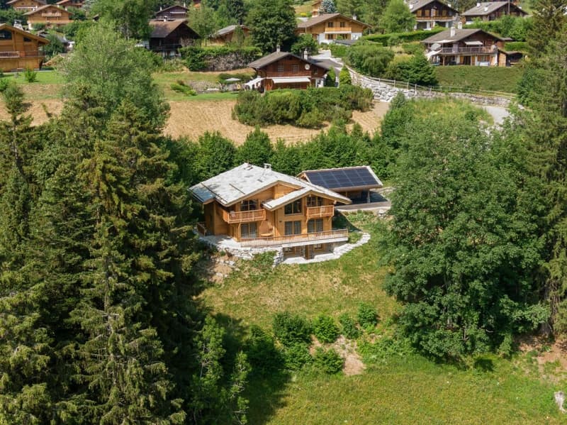 Chalet mit 8 Zimmern und atemberaubendem Blick (37)