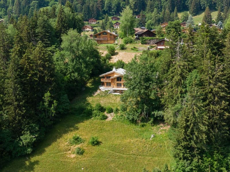 Chalet mit 8 Zimmern und atemberaubendem Blick (38)