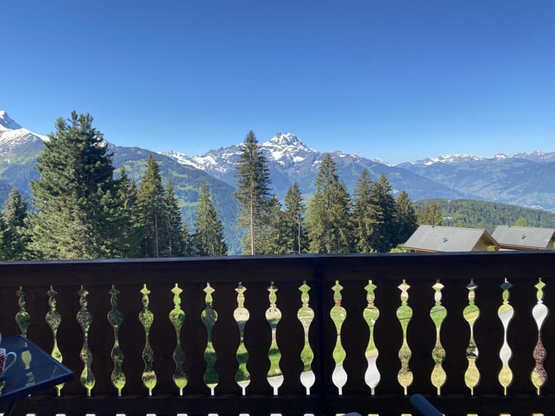 Chalet mit Panoramablick auf die Alpen - 5 Zimmer (20)