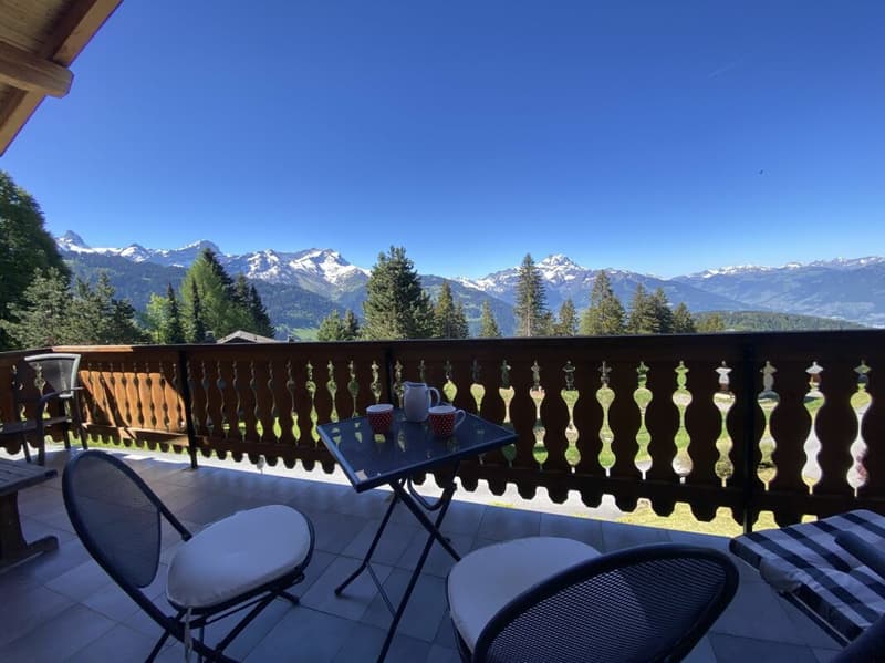 Chalet mit Panoramablick auf die Alpen - 5 Zimmer (26)