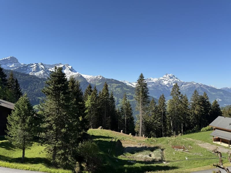 Chalet mit Panoramablick auf die Alpen - 5 Zimmer (8)