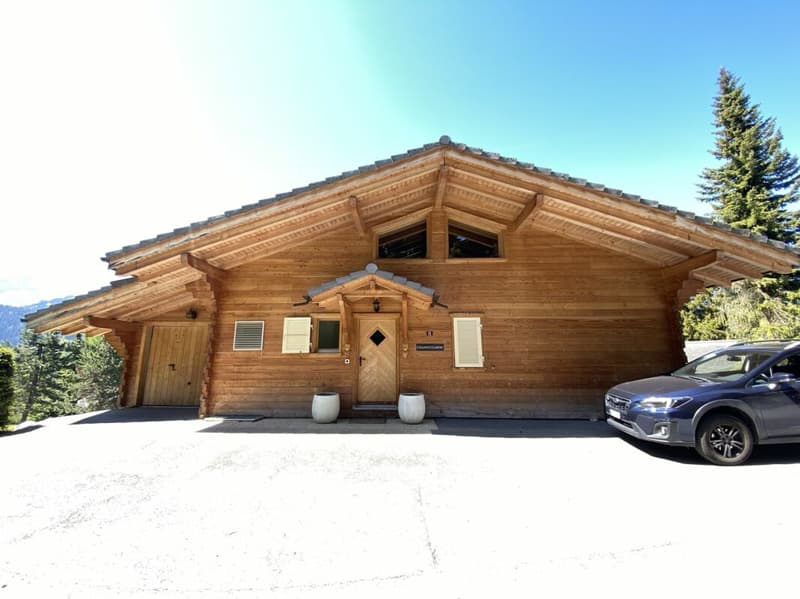 Chalet mit Panoramablick auf die Alpen - 5 Zimmer (25)