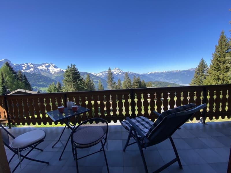 Chalet mit Panoramablick auf die Alpen - 5 Zimmer (5)