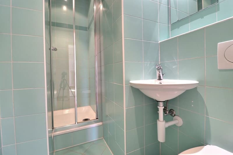 Wohnung 4.5 Zimmer in Villars-sur-Ollon (12)