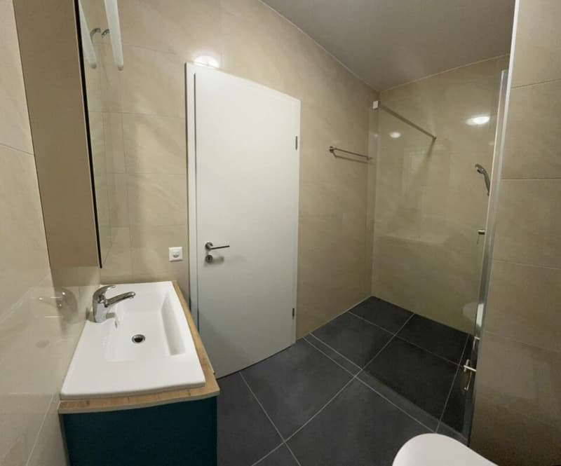 Appartamento 4.5 locali a Ollon VD (5)