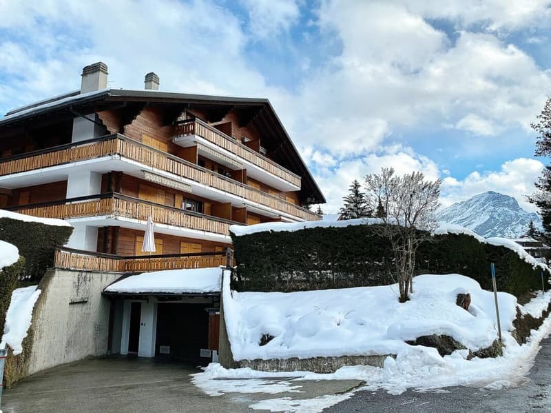 Apartment just a short walk from the gondola (19)