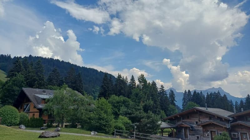 3 bedroom apartment with terrace (22)