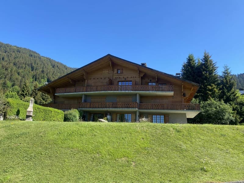 3 bedroom apartment with terrace (24)