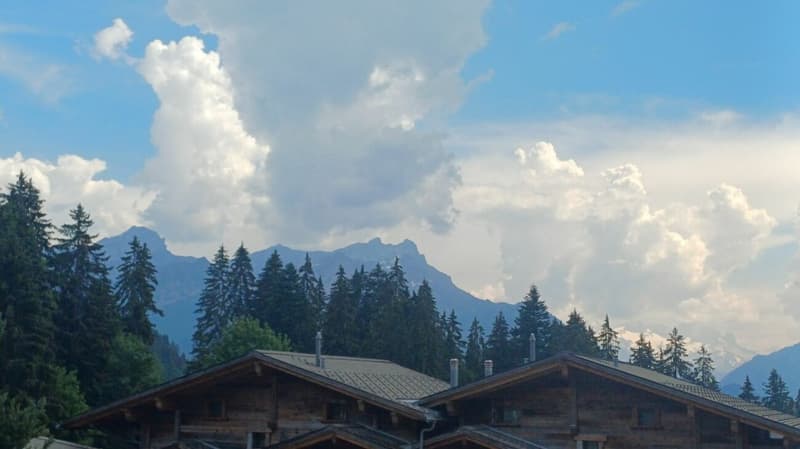 3 bedroom apartment with terrace (23)