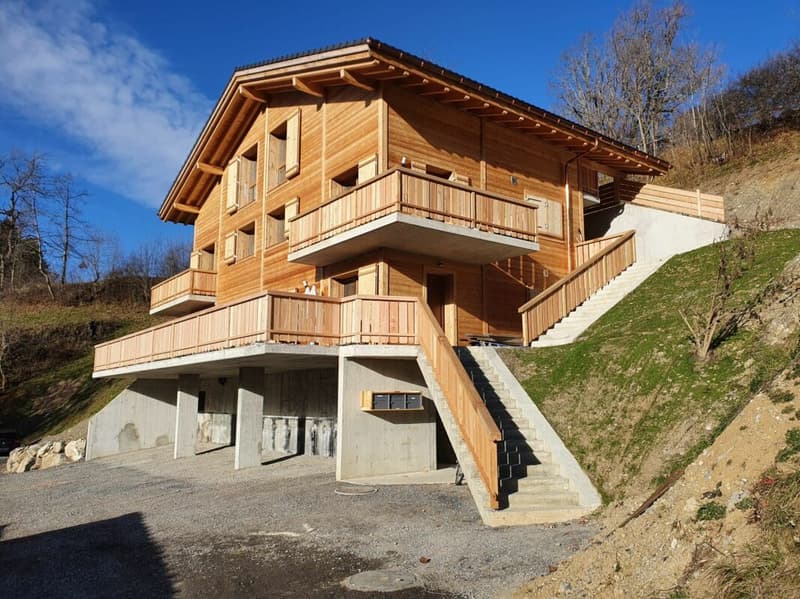 Epine 17 - 4.5 rooms for rent for the year (1)